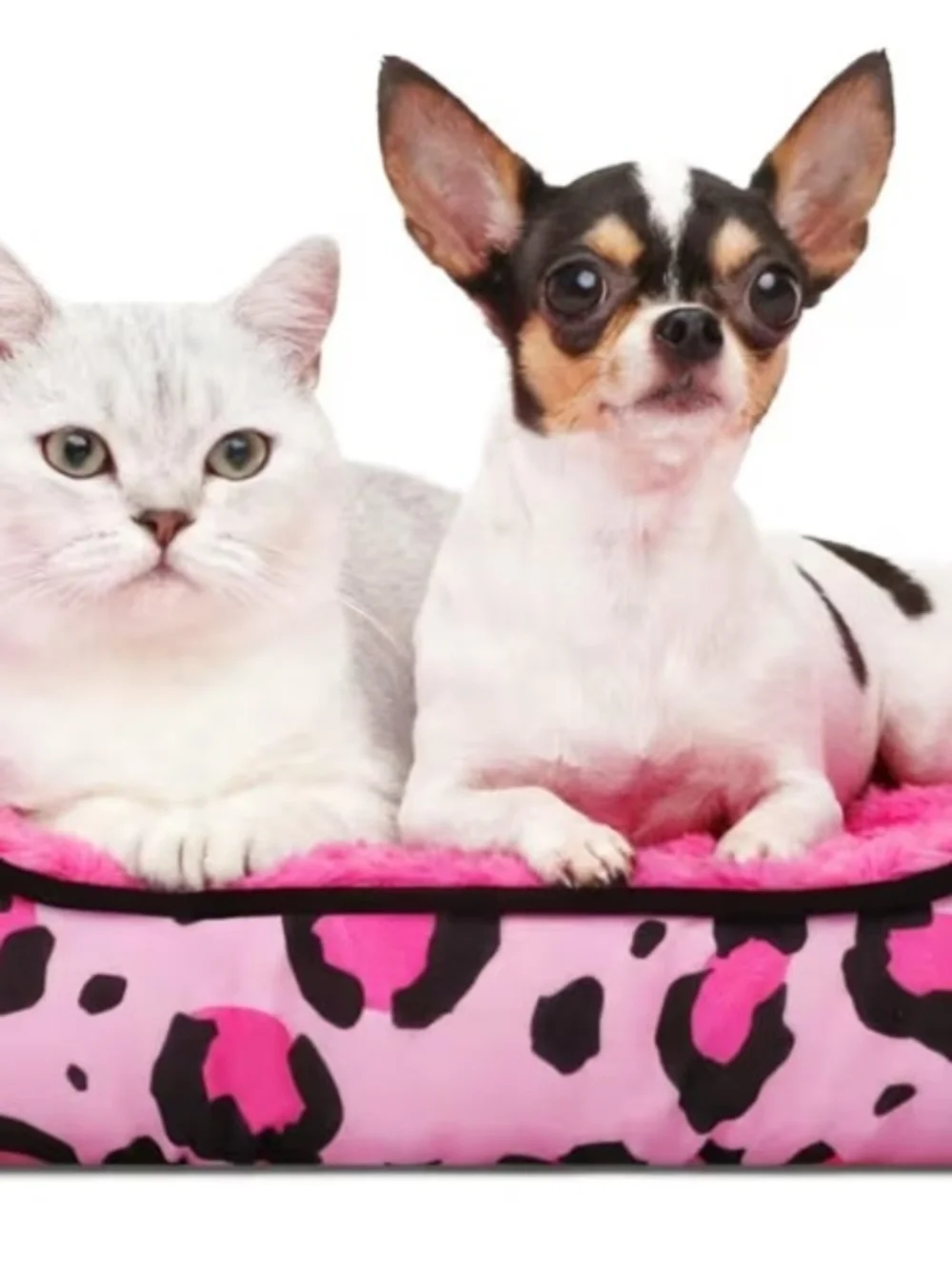 RECTANGLE DOGS & CATS PET BEDDING (18.9
